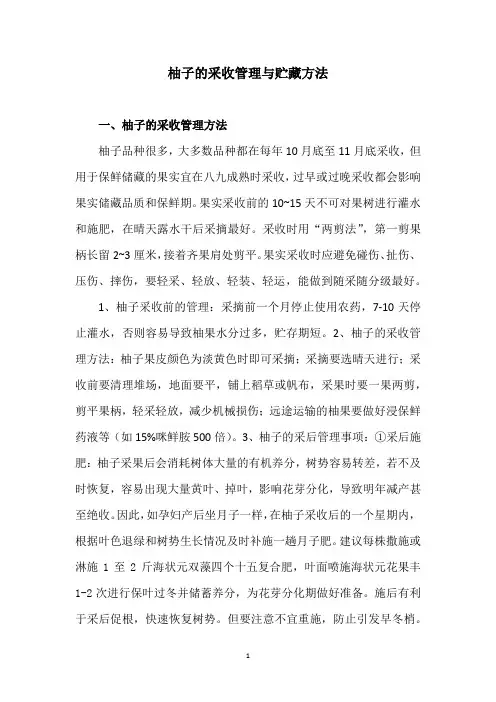柚子的采收管理与贮藏方法