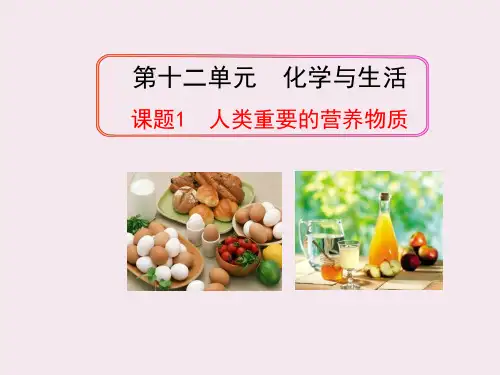 课题1 人类重要的营养物质课件 (共41张ppt)