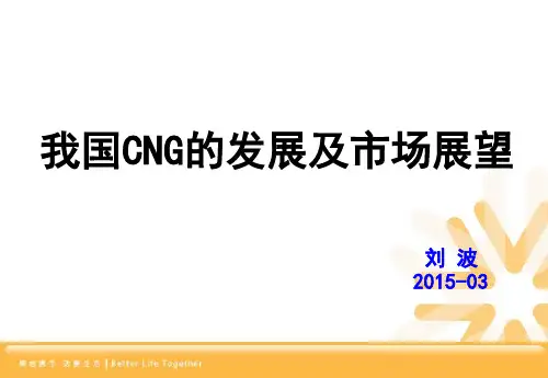 1-我国CNG的发展及市场展望报告