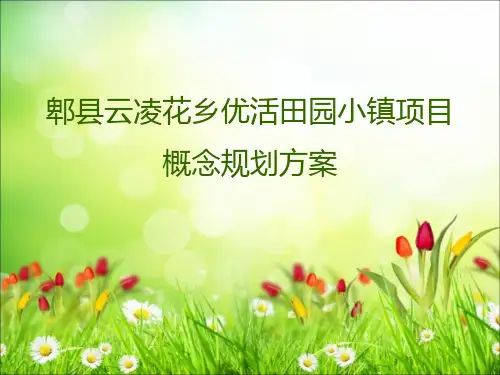 特色小镇之郫县云凌花乡优活田园小镇项目概念规划方案