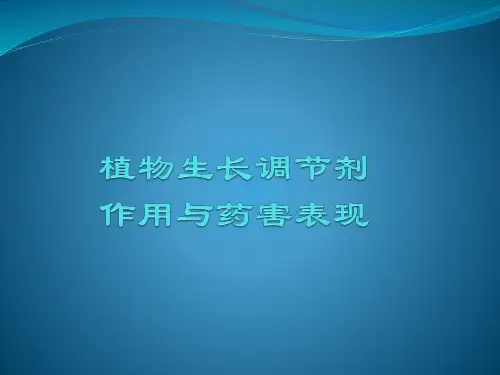 植物生长调节剂作用与药害表现