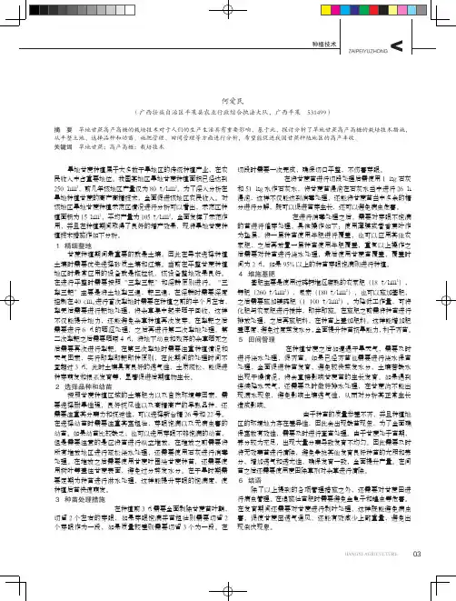 旱地甘蔗高产高糖的栽培技术