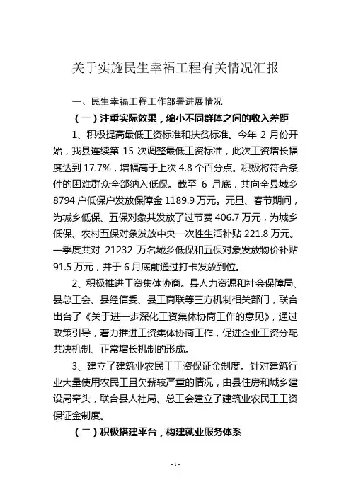 关于实施民生幸福工程有关情况汇报