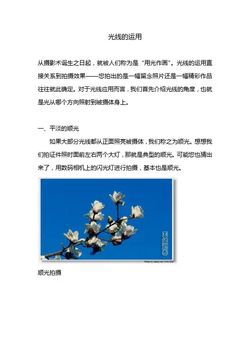 摄影中光线的运用