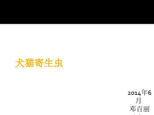 犬猫寄生虫 ppt课件