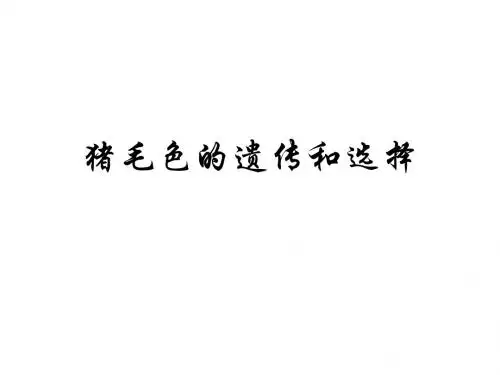 猪毛色的遗传和选择共29页