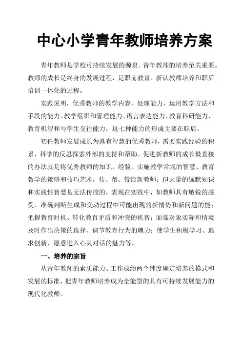 中心小学青年教师培养方案