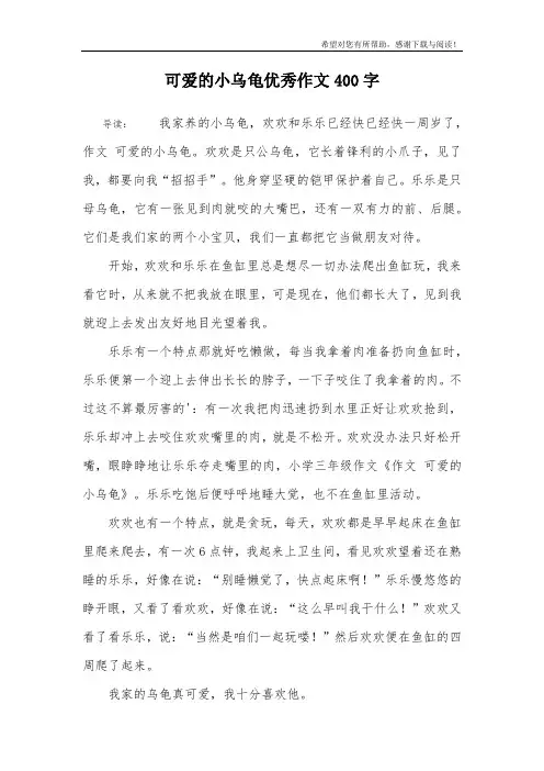 可爱的小乌龟优秀作文400字