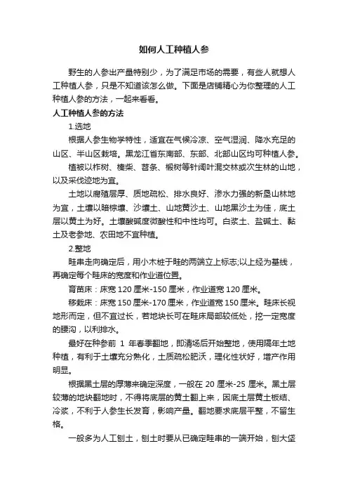 如何人工种植人参