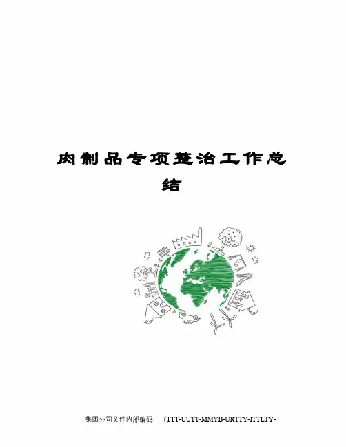 肉制品专项整治工作总结