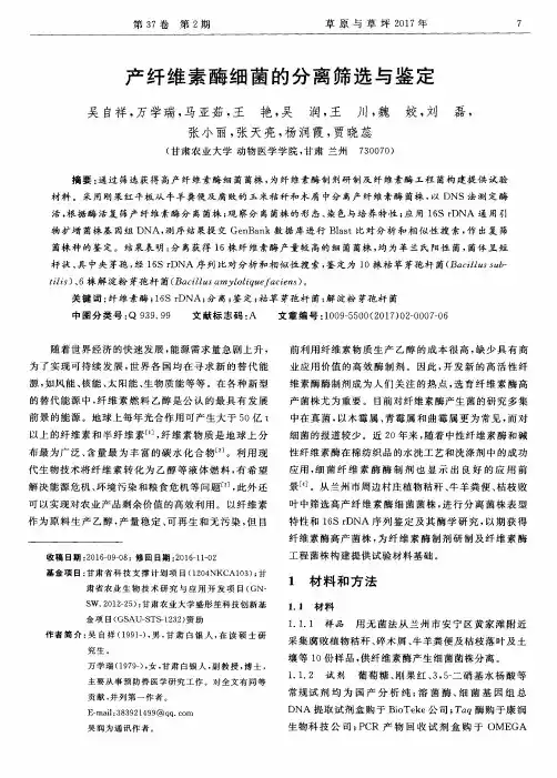 产纤维素酶细菌的分离筛选与鉴定