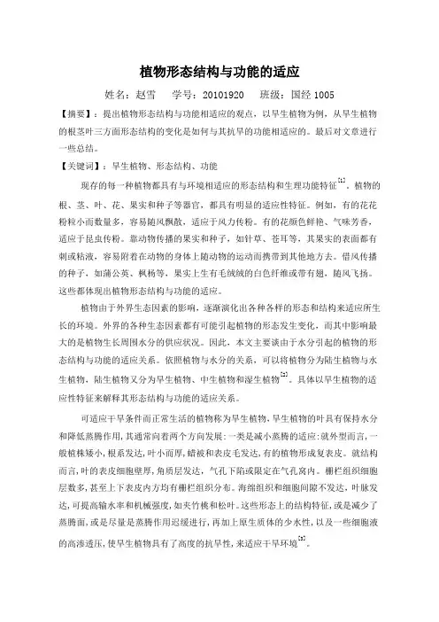 植物形态结构与功能的适应
