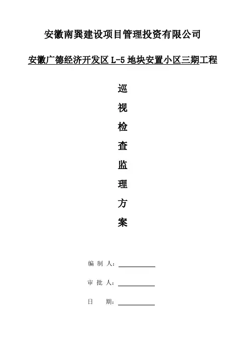 巡视方案样本