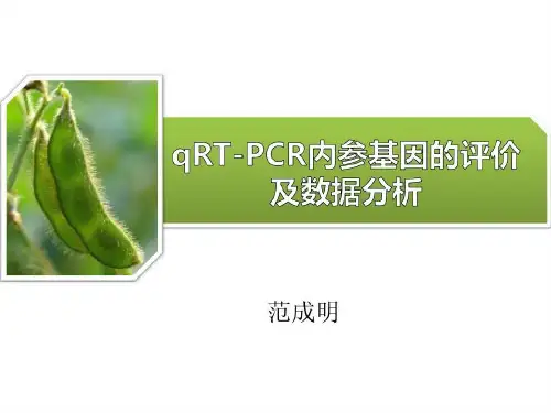 内参基因的选择及数据初步分析37页PPT