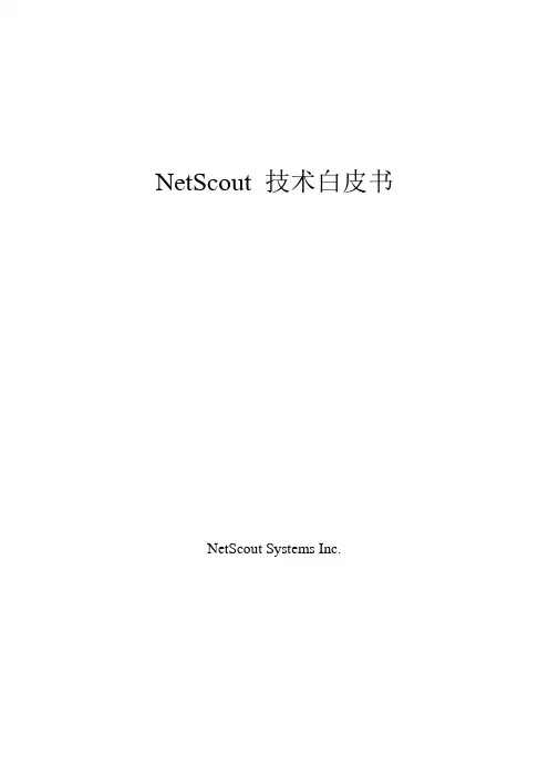 netscout技术白皮书
