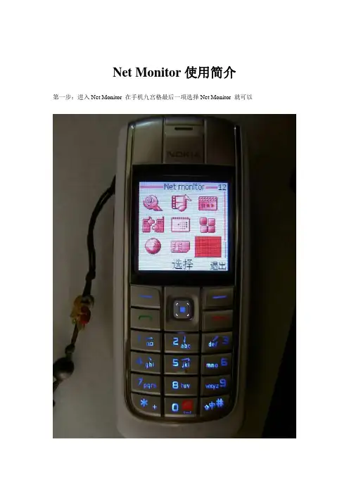 Net Monitor使用简介