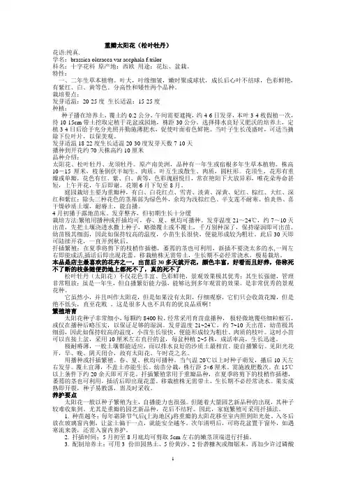 重瓣太阳花