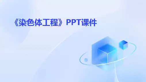 《染色体工程》课件