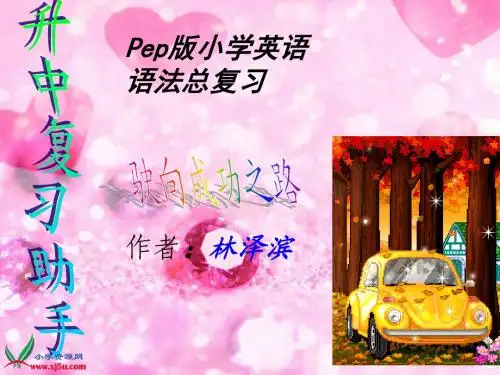 (人教Pep)小学六年级英语下册 语法总复习