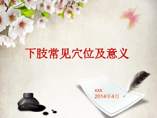 下肢常见穴位及意义