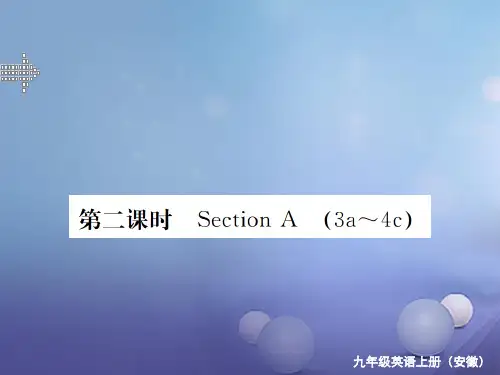 (安徽专版)九年级英语全册 Unit 2 I think that mooncakes are delicious(第2课时)习题课件