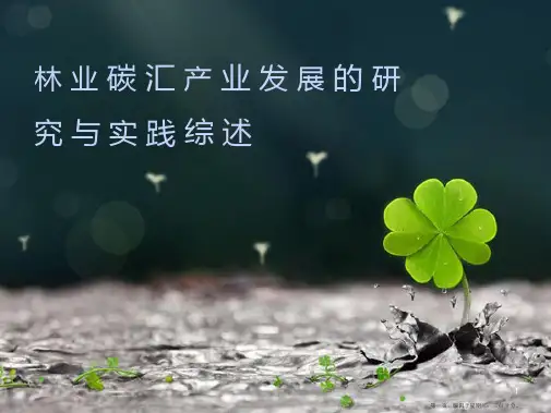 林业碳汇产业