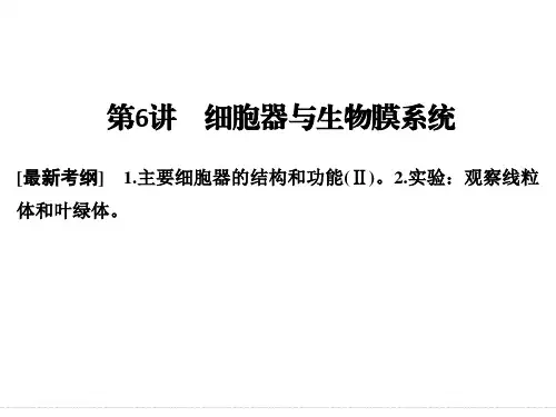 一轮复习细胞器与生物膜系统