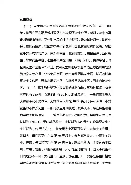 花生概述