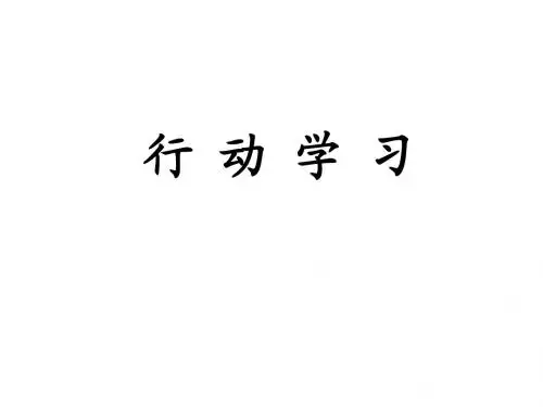 行动学习法