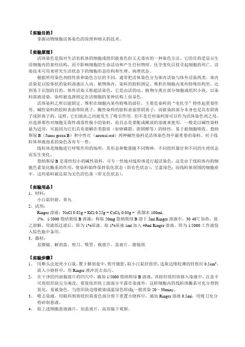 线粒体的超活染色与观察