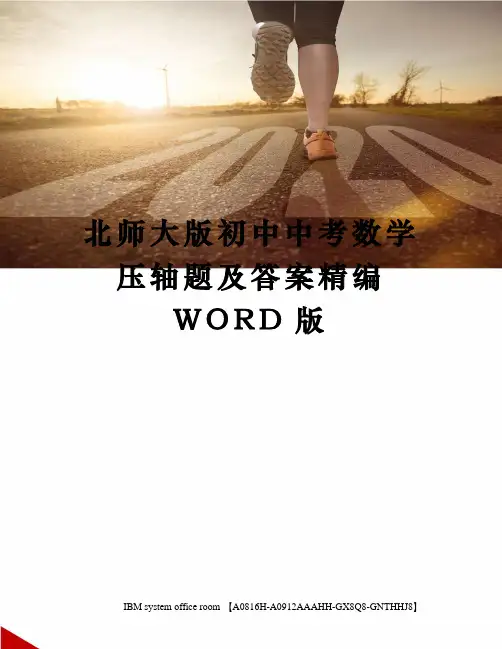 北师大版初中中考数学压轴题及答案精编WORD版