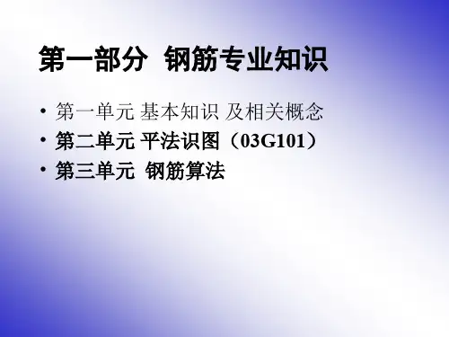 梁柱板钢筋平法标注