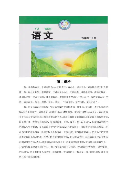 【文档】黄山奇松《黄山松》(语文北师大六上)   