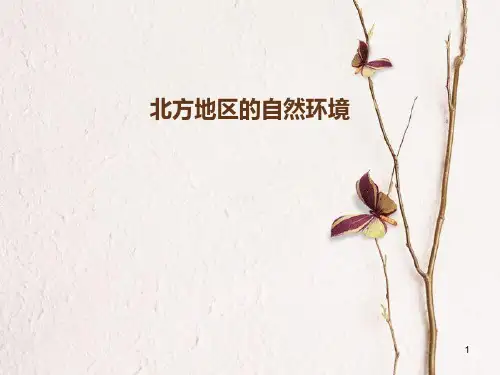 八年级地理下册 6.1 自然特征与农业 北方地区的自然环境课件 (新版)新人教版.pptx