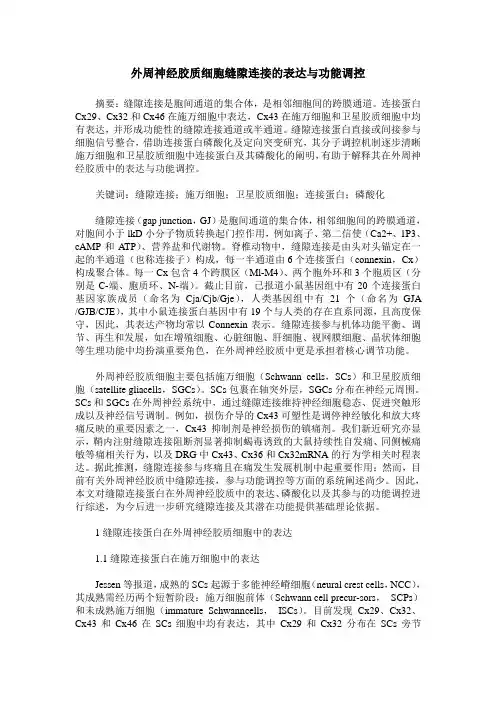 外周神经胶质细胞缝隙连接的表达与功能调控