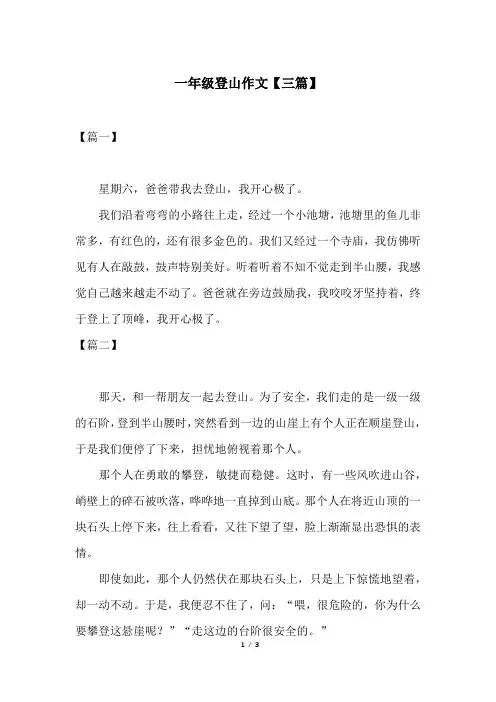 一年级登山作文【三篇】