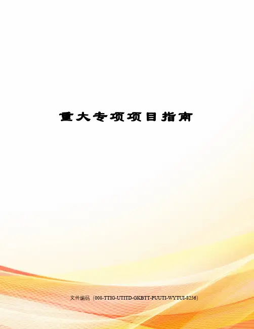 重大专项项目指南
