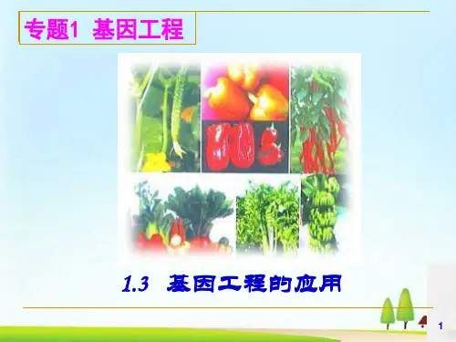人教版高中选修3生物-1-3 基因工程的应用