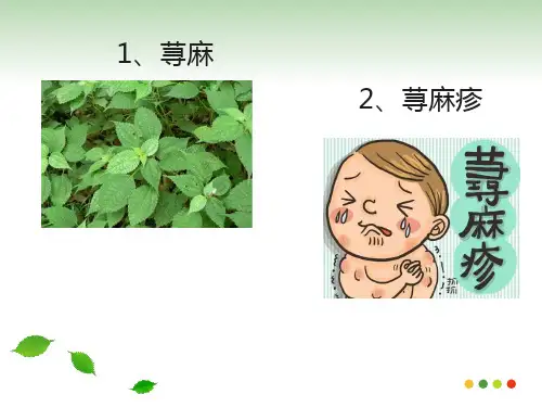 第13章 变态反应性疾病的药物治疗 荨麻疹的用药指导