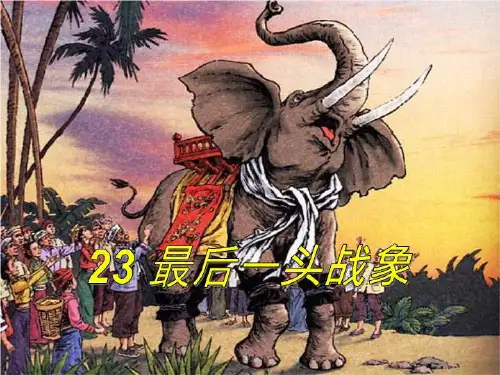 23最后一头战象(人教新课标)六年级语文上册课件_