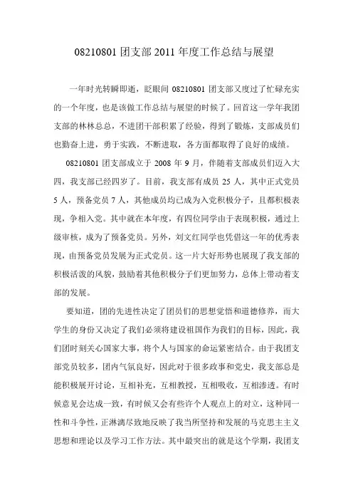 团支部2011年度工作总结与展望