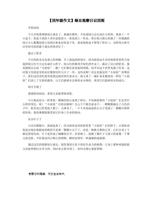 【四年级作文】绿豆观察日记四则