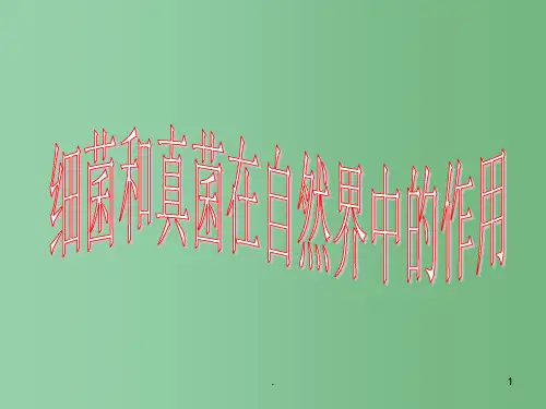 七年级生物上册 第5单元第5章 细菌和真菌在生物圈中的作用复习课件 人教新课标版