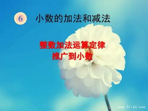 人教版小学数学四年级下册整数加法运算定律推广到小数(例4)