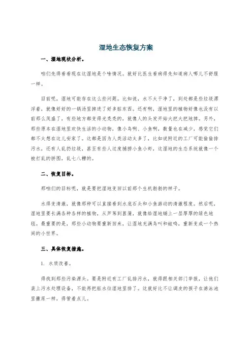 湿地生态恢复方案