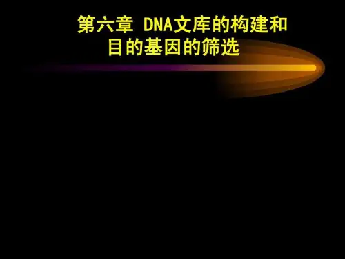 《基因组文库的构建》PPT课件