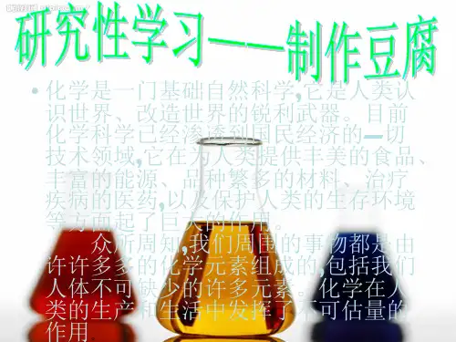研究性学习 制作豆腐