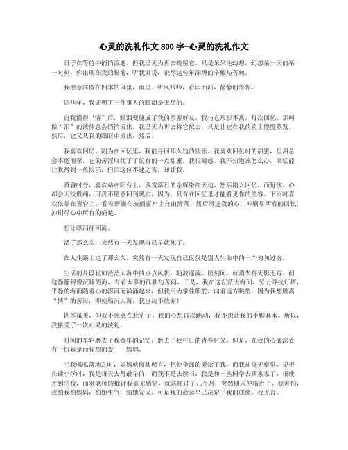 心灵的洗礼作文800字-心灵的洗礼作文