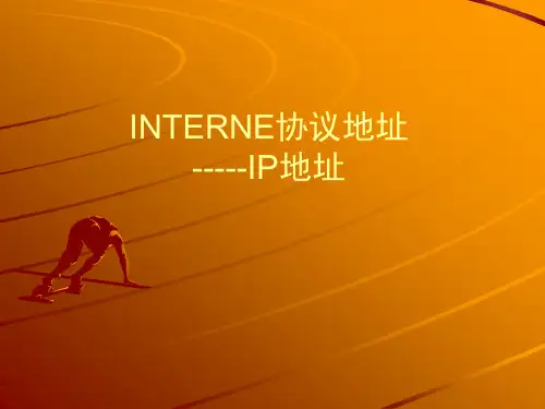 Internet地址