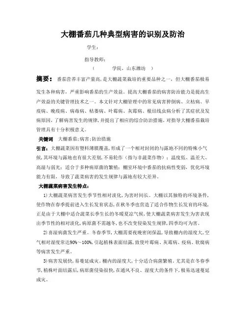 大棚番茄几种典型病害的识别及防治